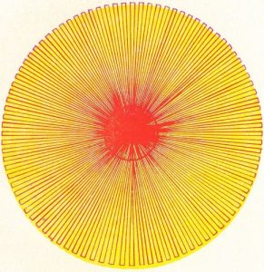 VIJNANA-CHITRAVALI-1_Page_066